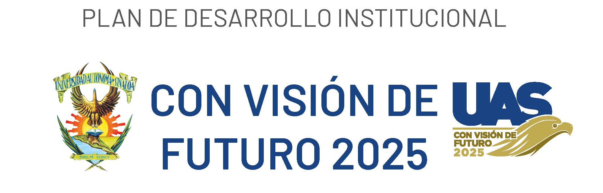 pdiuas2021